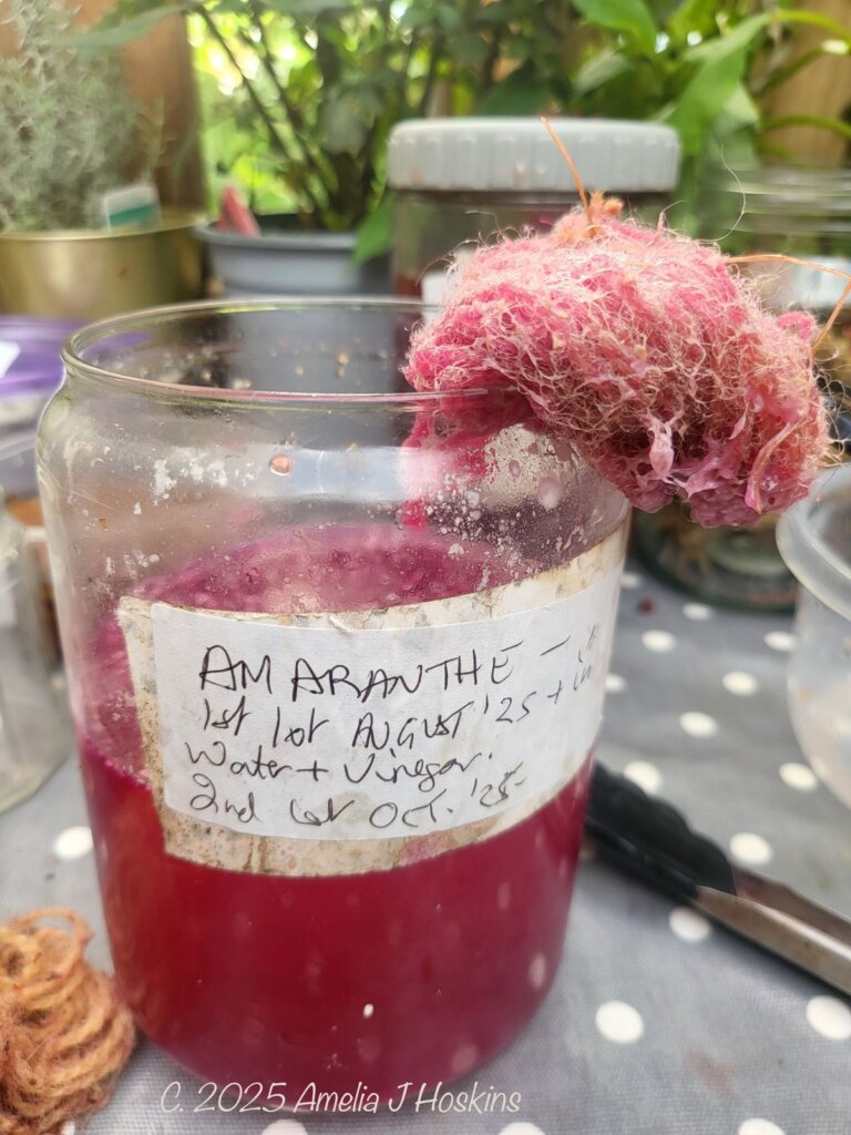 Shetland wool being removed from dye jar